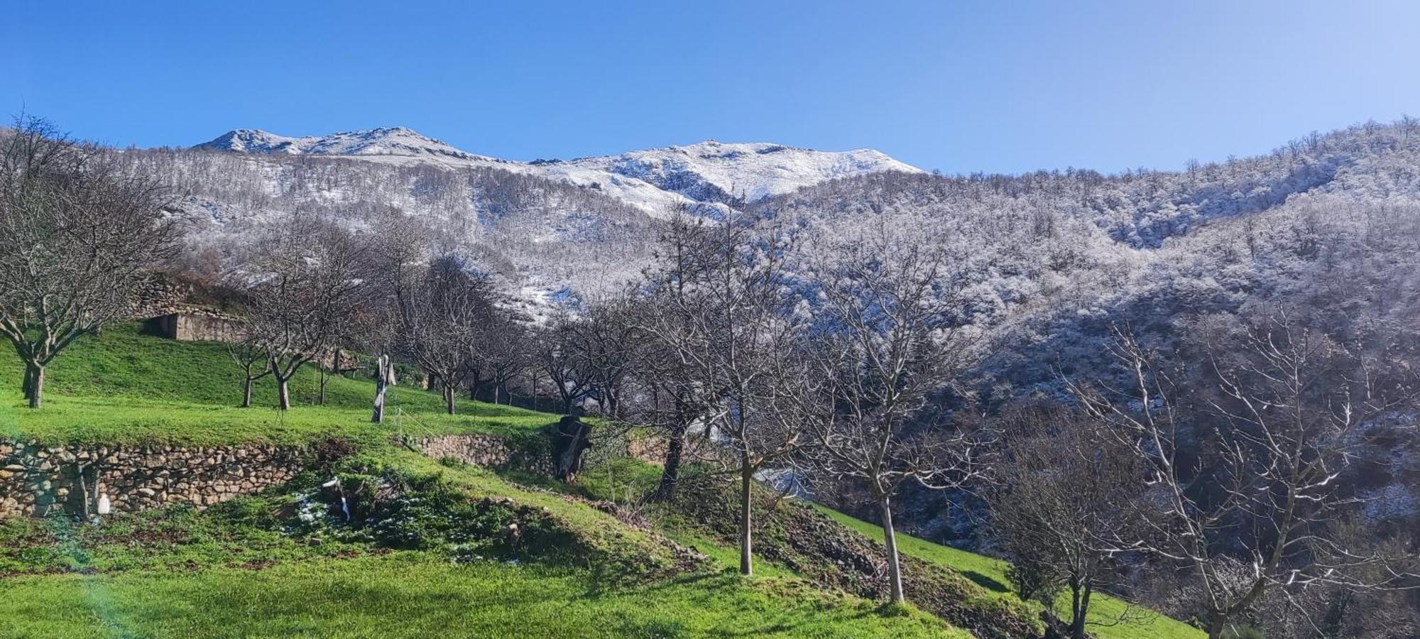 Nuestra Casa De Luriezo Villa Cabezon de Liebana Luaran gambar